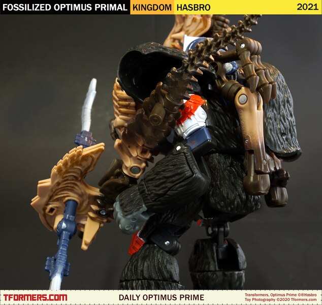 Daily Prime   Transformers Kingdom Fossilized Optimus Primal  (7 of 9)
